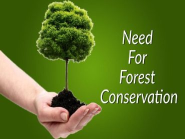 Forest Conservation